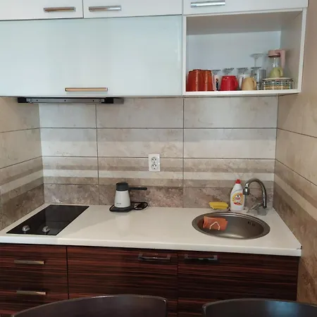Apartment 25 Zlatibor